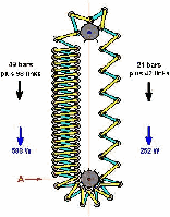 PESWIKI free energy chain drive gravity machine open source project launced (joke?)