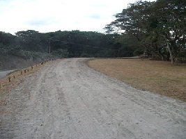 Driveway to houses