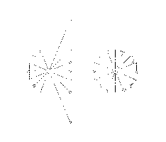 Torque Angles