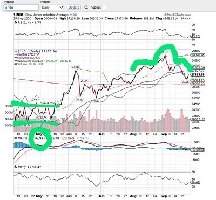 DOW Head & Sholders.jpg