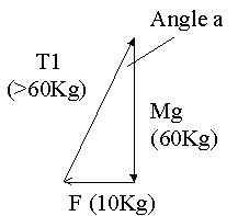 Result of Parallelogram of Forces Analysis