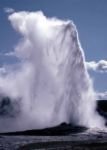 2363197476 old faithful.jpg