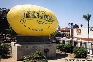 lemon grove.jpg