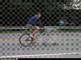 Bicycle shopping cart.GIF