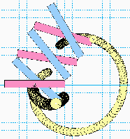 Path of weights on a CurvingHoberman jack.