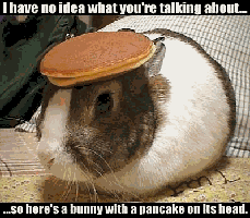 Bunny-pancake.gif