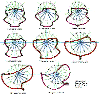 Calloway Wheel - Pendulum tracking at various angular velocities.