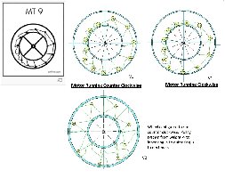 MT-9 Simulation Version 1 and 2 sample runs